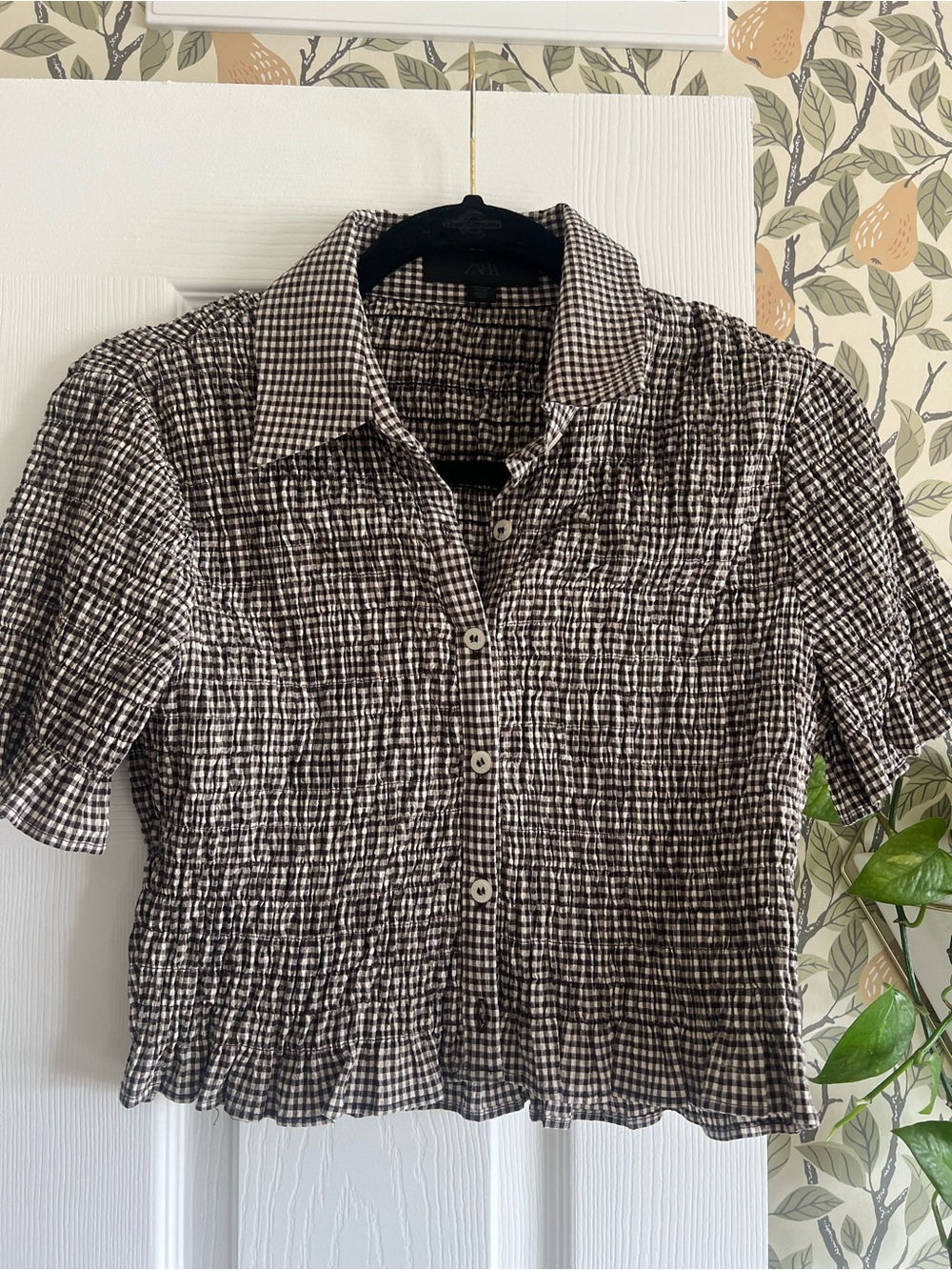 Zara Shirred Top